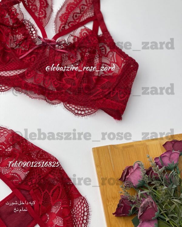 ست ژورنالی فرح زرشکی - تصویر 3